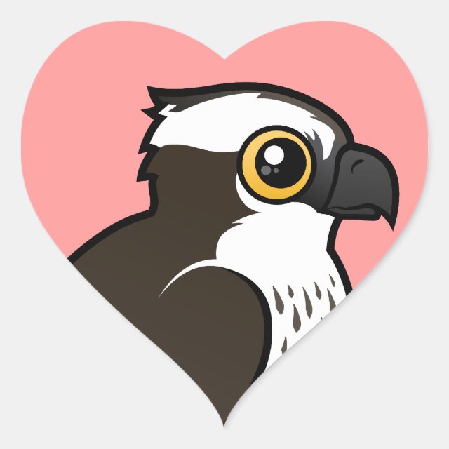 seahawk bird clipart cute