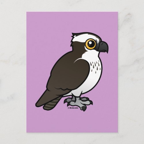 Cute Osprey Postcard