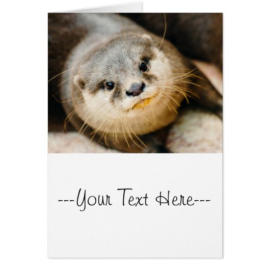 Cute Otter, Animal Portrait, Nature Photography Cards (Front)