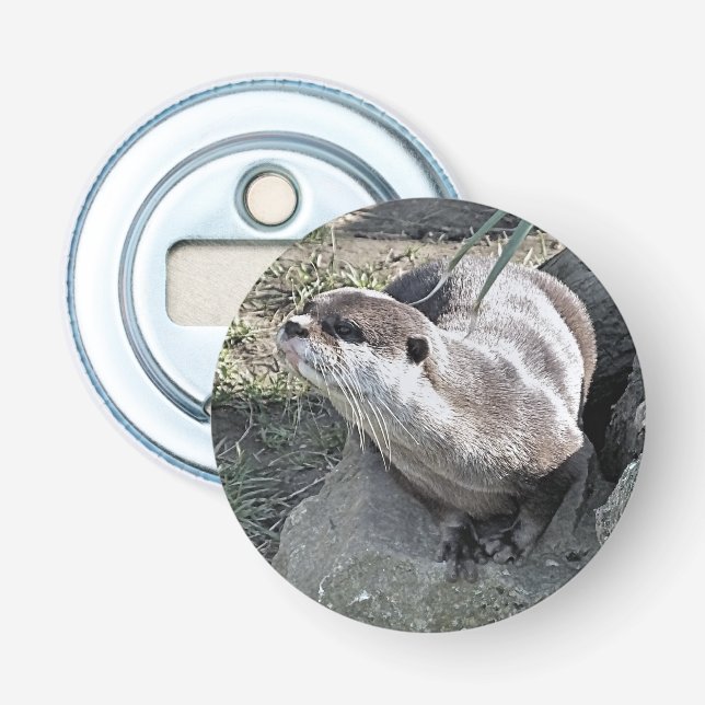 CUTE OTTER  BOTTLE OPENER (Front)