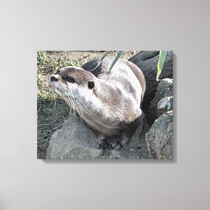 CUTE OTTER CANVAS PRINT