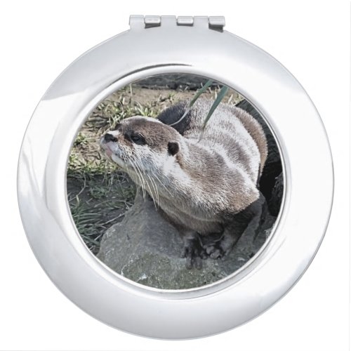 CUTE OTTER   COMPACT MIRROR