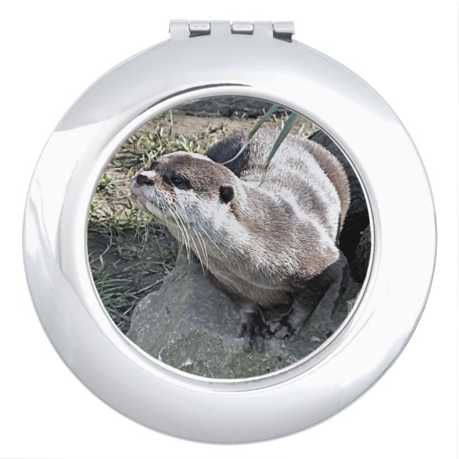 CUTE OTTER   COMPACT MIRROR (Front)