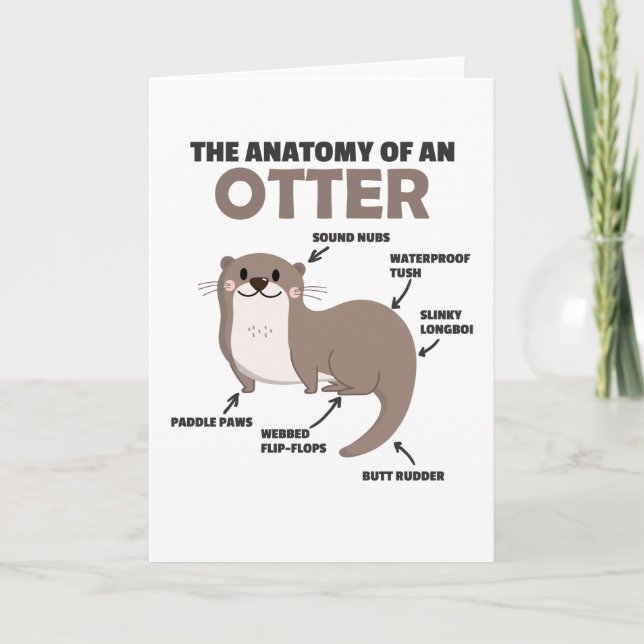 Cute Otter Explanation Anatomy Of An Otter Card (Front)