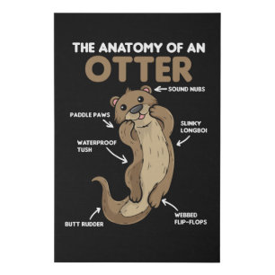 Cute Otter Explanation Anatomy Of An Otter Faux Canvas Print