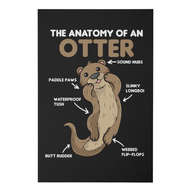 Cute Otter Explanation Anatomy Of An Otter Faux Canvas Print (Front)