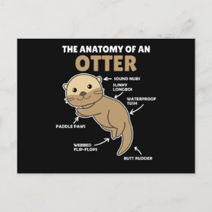 Cute Otter Explanation Anatomy Of An Otter Postcard