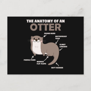 Cute Otter Explanation Anatomy Of An Otter Postcard