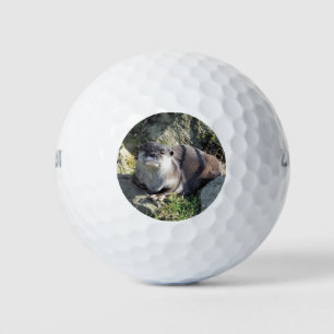 CUTE OTTER GOLF BALLS