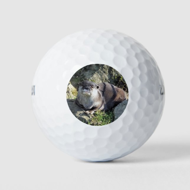 CUTE OTTER GOLF BALLS (Front)