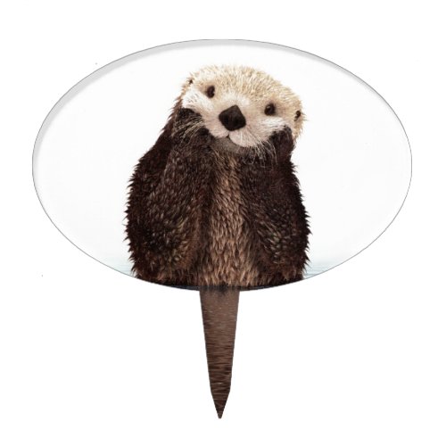 Cute Otter in Water Cake Topper