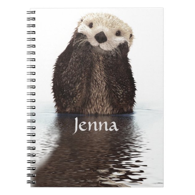 otter note taking