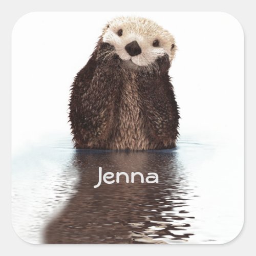 Cute Otter in Water Square Sticker
