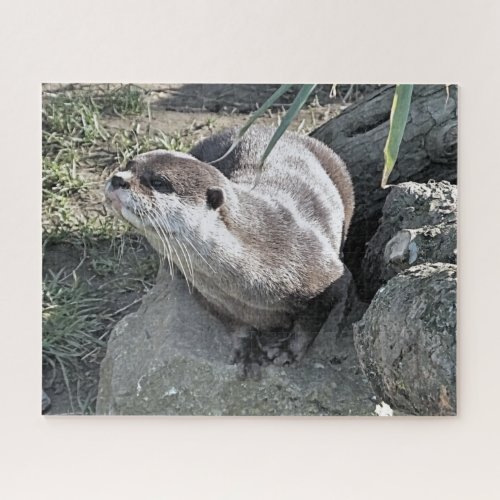 CUTE OTTER  JIGSAW PUZZLE