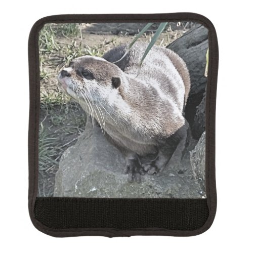 CUTE OTTER   LUGGAGE HANDLE WRAP