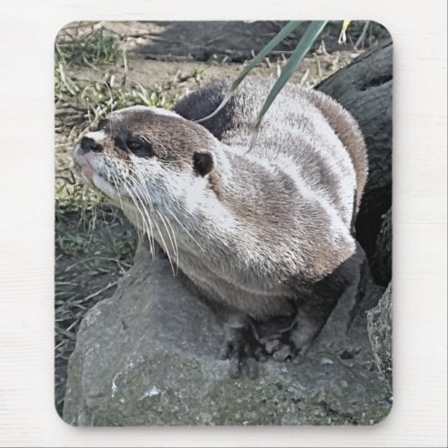 CUTE OTTER   MOUSE PAD