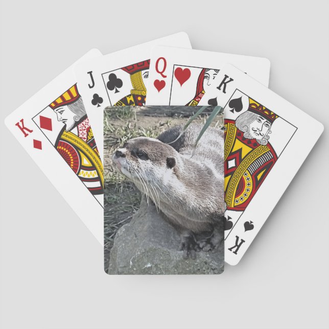 CUTE OTTER   POKER CARDS (Back)