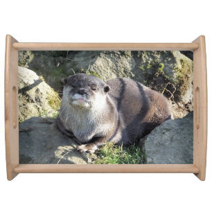 CUTE OTTER SERVING TRAY