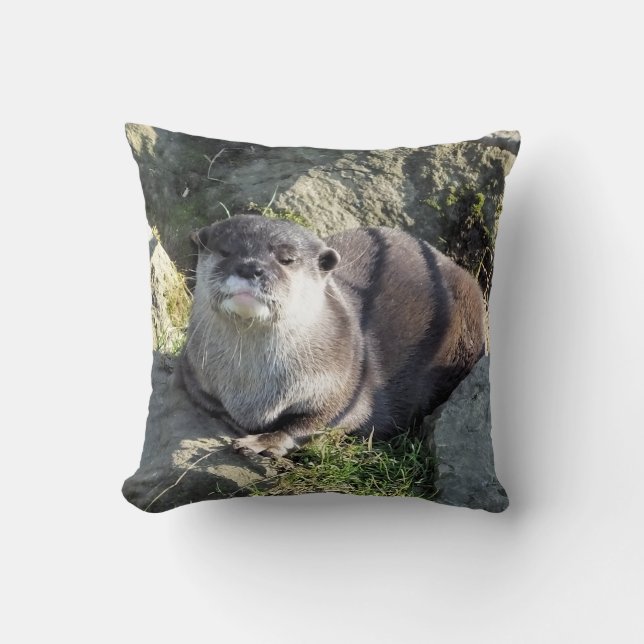 CUTE OTTER THROW PILLOW (Front)
