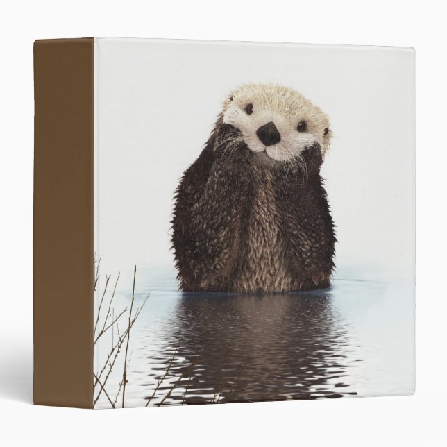 Cute Otter Wildlife Image 3 Ring Binder (Front/Spine)