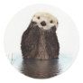 Cute Otter Wildlife Image Classic Round Sticker