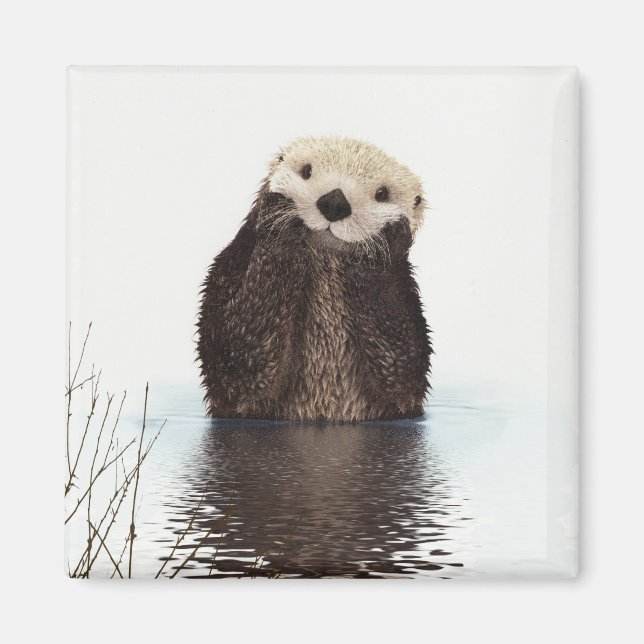 Cute Otter Wildlife Image Magnet (Front)