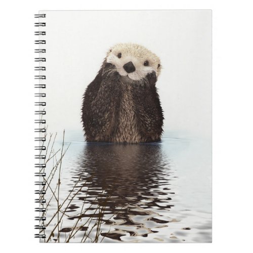 Cute Otter Wildlife Image Notebook