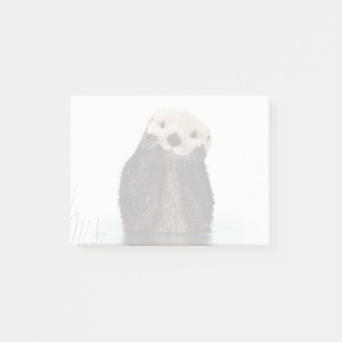 Cute Otter Wildlife Image Post_it Notes