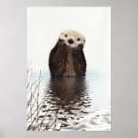 Cute Otter Wildlife Image Poster at Zazzle