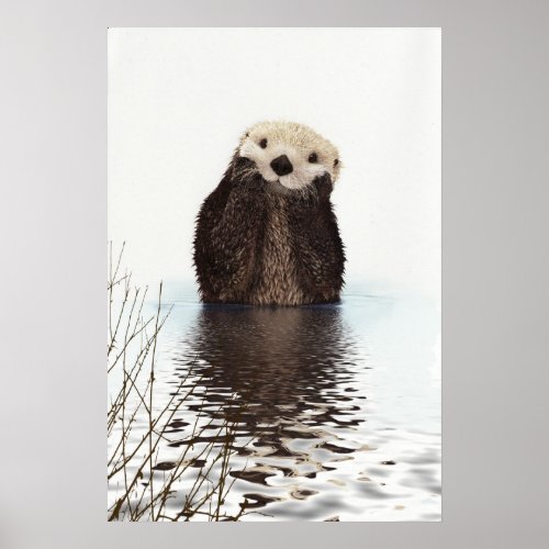 Cute Otter Wildlife Image Poster