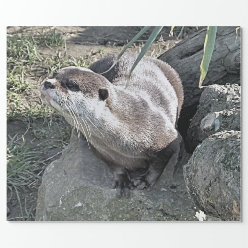 CUTE OTTER   WRAPPING PAPER