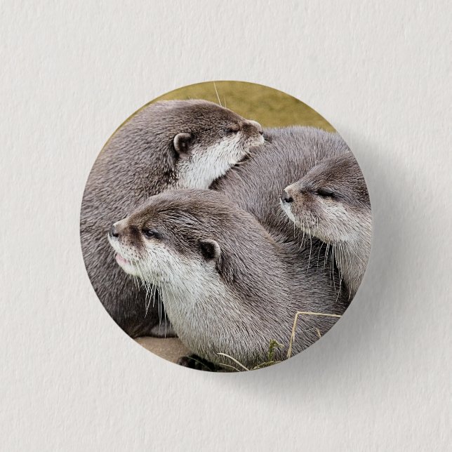 CUTE OTTERS BUTTON (Front)