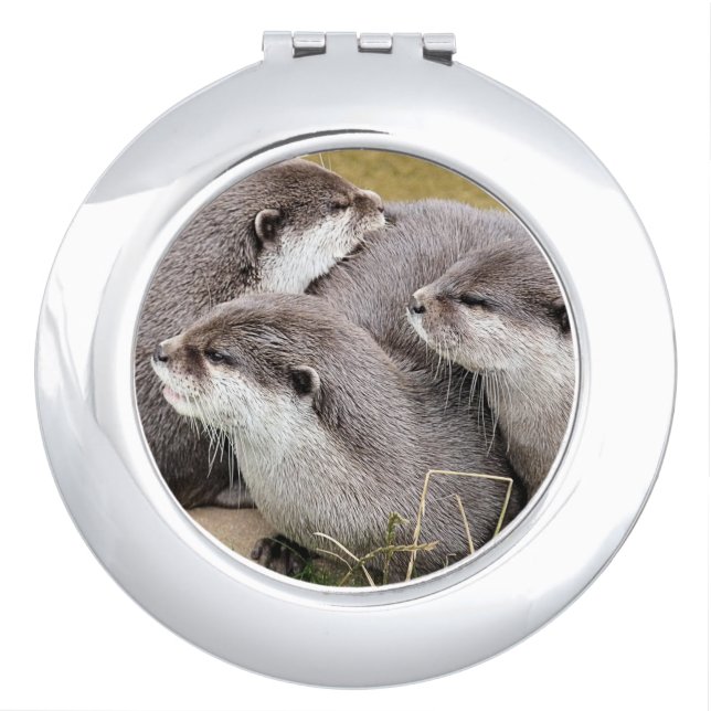 CUTE OTTERS compact mirror (Front)