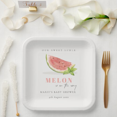 Cute Our Little Melon Watercolor Red Baby Shower Paper Plates