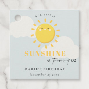 Cute Our Little Sunshine Blue Boy Any Age Birthday Favor Tags