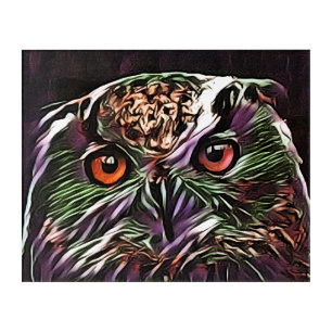 CUTE OWL ACRYLIC PRINT