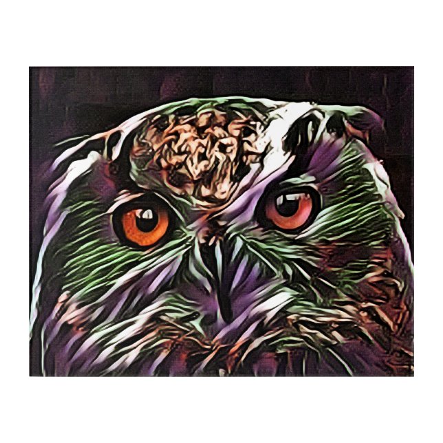 CUTE OWL   ACRYLIC PRINT (Front)