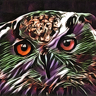 CUTE OWL   ACRYLIC PRINT