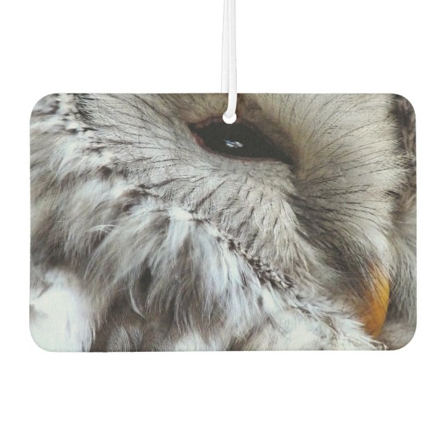 CUTE OWL AIR FRESHENER (Front)