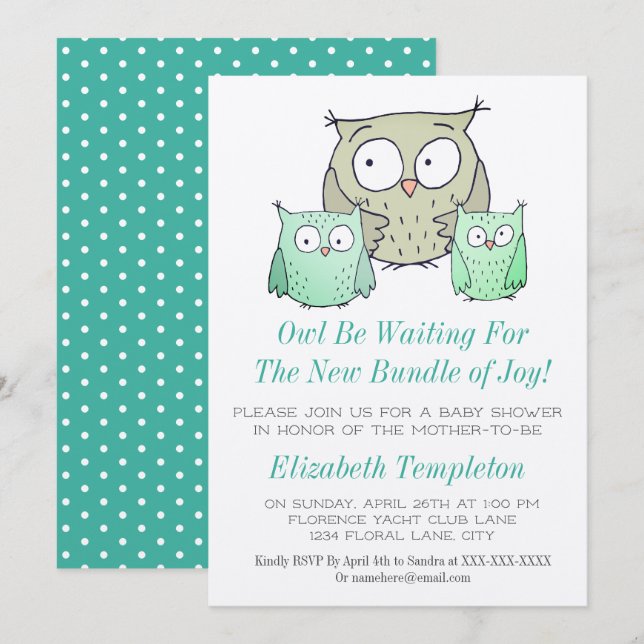 Cute Owl Baby Shower Gender Neutral Bundle of Joy Invitation (Front/Back)
