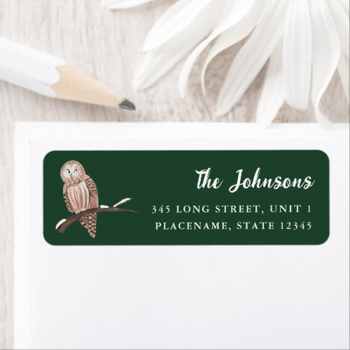 Cute Owl bird Green Christmas  Label