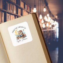 Cute Owl Book Stickers – Personalized Bookplate