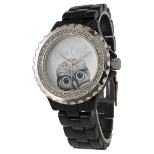 Cute Owl Cape Coral Florida - Burrowing Owl Watch