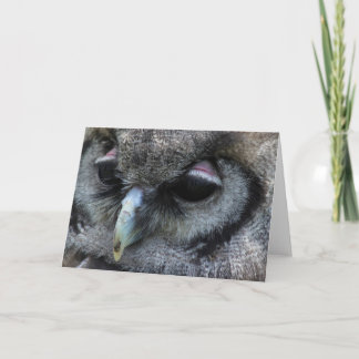 Cute Owl Card