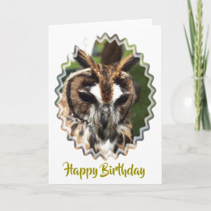 CUTE OWL CARD