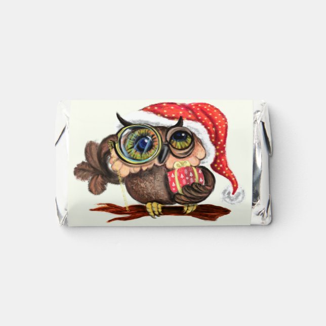 Cute Owl Christmas Birthday Hershey's Miniatures (Front)