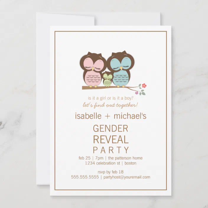 Gender Reveal Owl Invitation Party Boy or Girl Baby Shower 