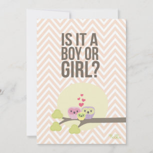 Cute Owl Family Baby Gender Reveal Party Invite