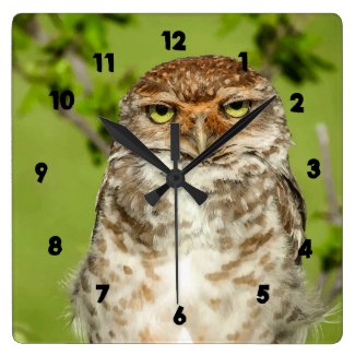 Owl in Nature Picture Wall Clock