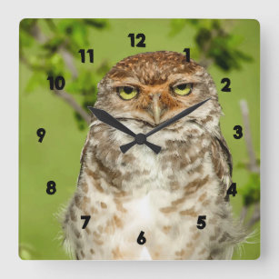 Cute Owl in Nature Picture Wall Clock